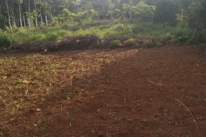 Bán đất mặt tiền Krông A xã Ea Tu – Buôn Ma Thuột – Đăk Lăk