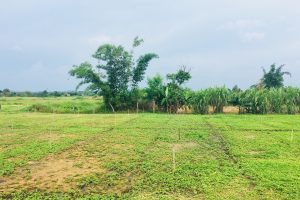 BÁN 24 MÉT HẺM TỐ HỮU GẦN NGÃ 3 DUY HÒA