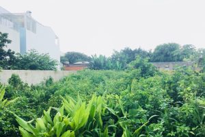 Bán đất hẻm 23 đường Nguyễn Khuyến Buôn Ma Thuột Đăk Lăk