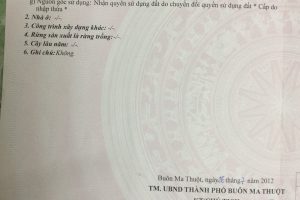 Bán đất xây biệt thự hẻm Y Nuê thông ra Tuệ Tĩnh Phường Ea Tam Buôn Ma Thuột Đăk Lăk