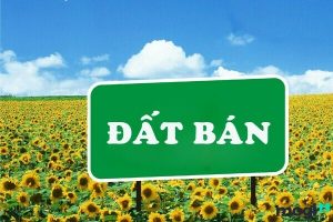 BÁN ĐẤT MẶT TIỀN NGUYỄN HỮU THẤU BUÔN MA THUỘT ĐĂK LĂK