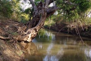 BÁN ĐẤT EA NUOL BUÔN ĐÔN BUÔN MA THUỘT ĐĂK LĂK