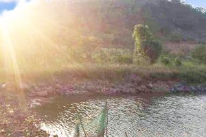 BÁN 3,5 HECTA ĐẤT HÒA KHÁNH GIÁP RANH EAKAO BUÔN MA THUỘT ĐĂK LĂK