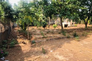 BÁN ĐẤT SAU LƯNG DỰ ÁN VN ĐÀ THÀNH KHỐI 9 TÂN LỢI BUÔN MA THUỘT ĐĂK LĂK