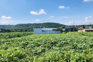 BÁN ĐẤT HẺM 107 NGUYỄN PHÚC CHU BUÔN MA THUỘT ĐĂK LĂK