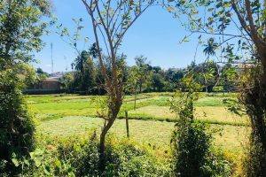 BÁN ĐẤT MẶT TIỀN ĐƯỜNG TRẦN PHÚ BUÔN MA THUỘT ĐĂK LĂK