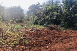 BÁN ĐẤT HẺM ĐỐI DIỆN CHỢ ĐẠT LÝ ĐI VÀO TẦM 800 MÉT