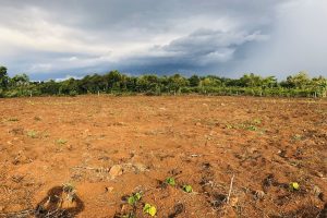 BÁN 1 HECTA ĐẤT HÒA PHÚ BUÔN MA THUỘT