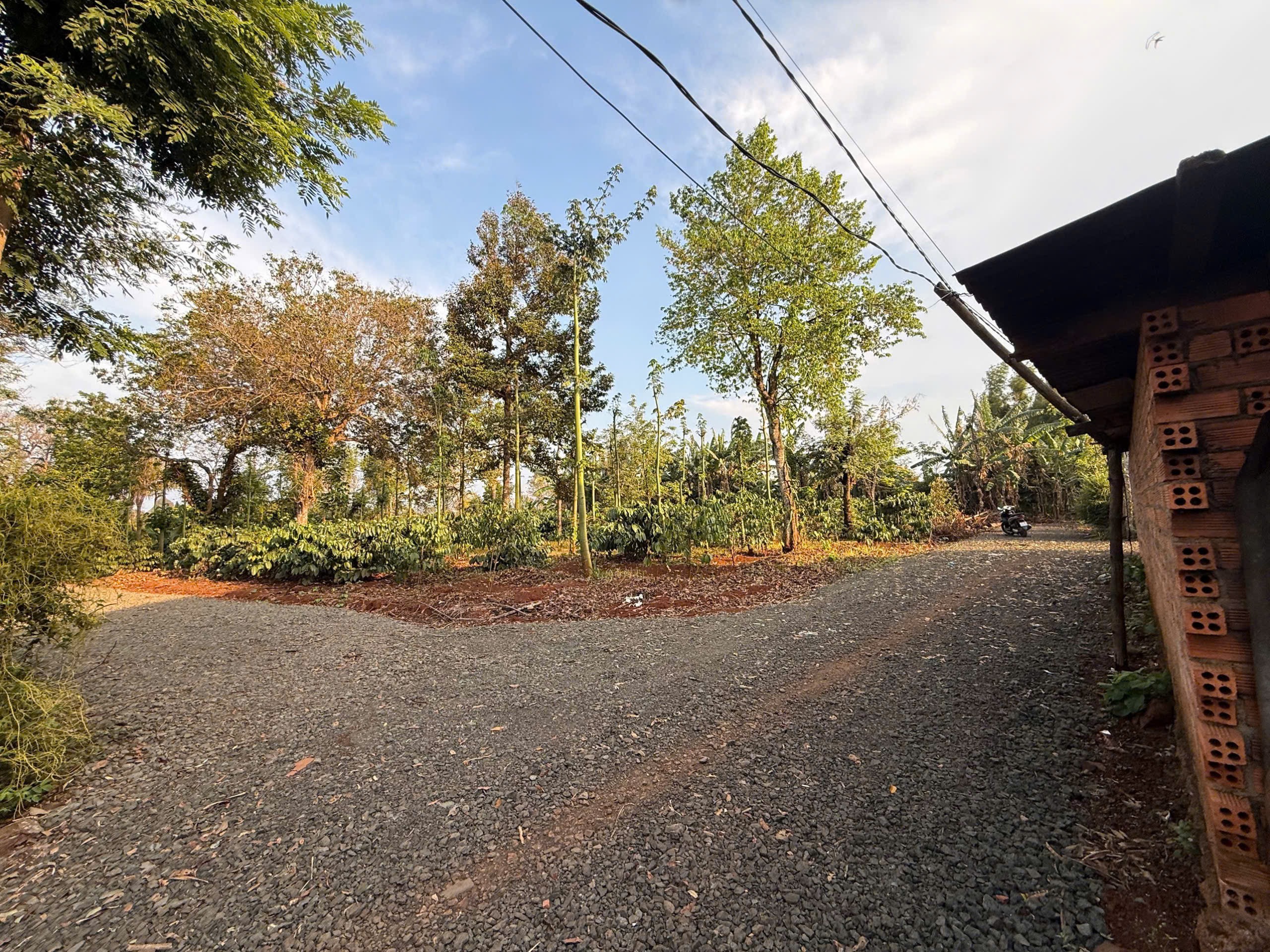 🌿 BÁN ĐẤT SAU CHỢ EA KAO – ĐƯỜNG Ô TÔ 🌿