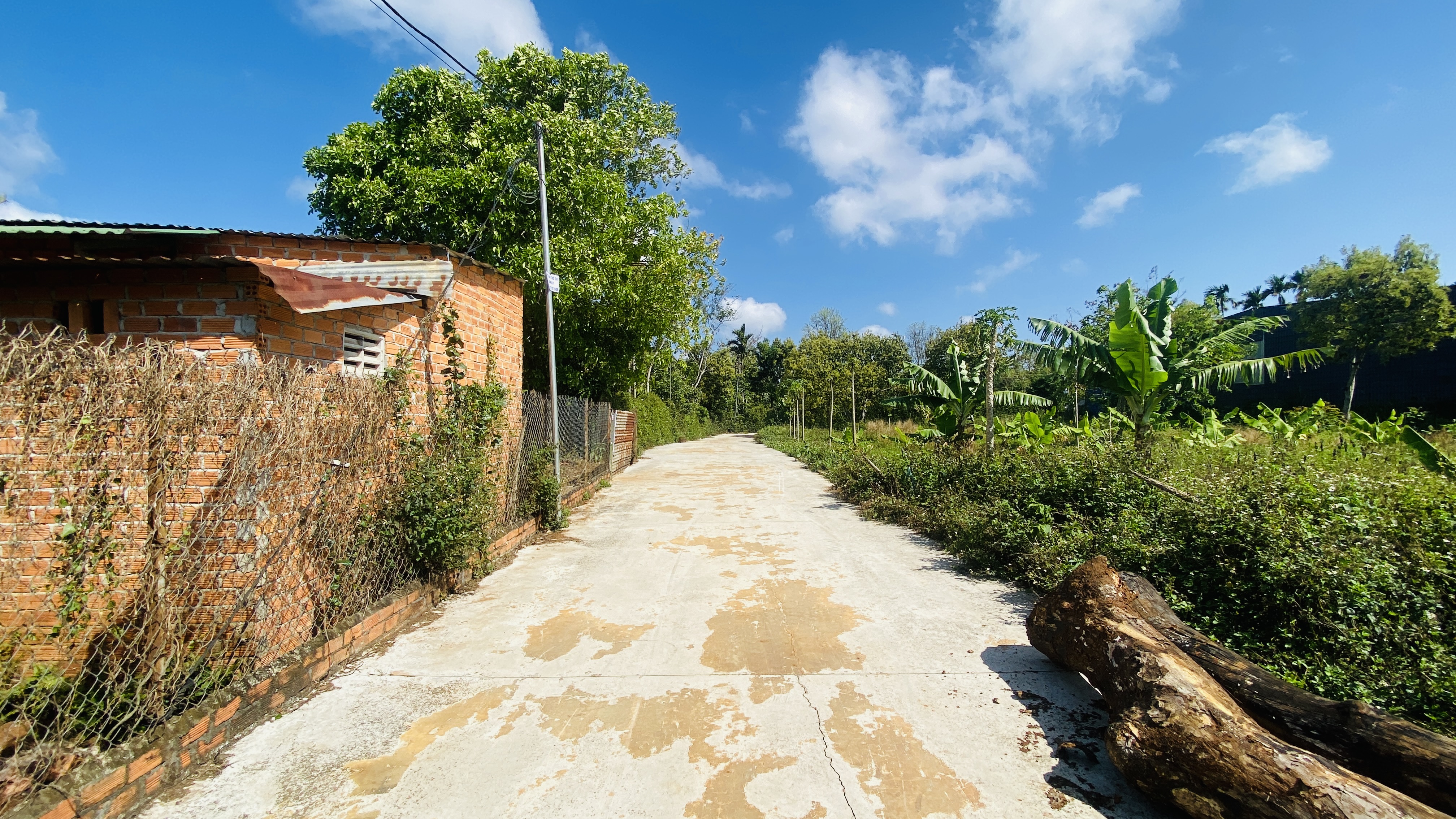 🔥 ĐẤT ĐẸP HẺM 242 DÃ TƯỢNG – PHƯỜNG TÂN AN, TP BMT 🔥