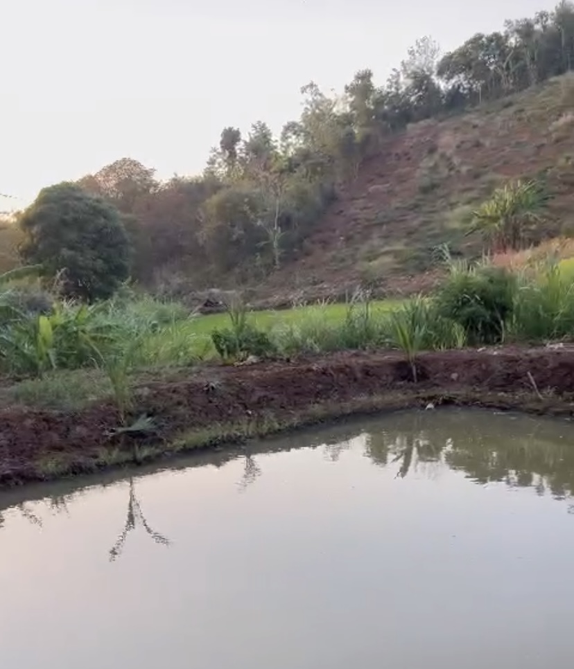 🌿 BÁN ĐẤT VIEW ĐẸP – NGHỈ DƯỠNG LÝ TƯỞNG TẠI BUÔN MA THUỘT 🌿