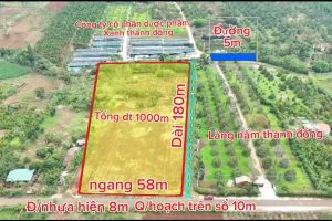 🌿 BÁN ĐẤT RẪY HẺM TỈNH LỘ 2 HÒA KHÁNH ĐẮK LẮK 🌿