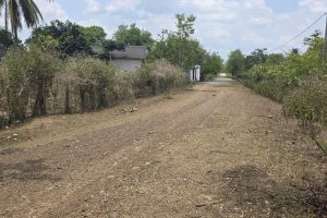 🌿🏡 SIÊU PHẨM ĐẤT NGHỈ DƯỠNG BUÔN ĐÔN – KỀ HỒ, SÁT KHU DU LỊCH CẦU TREO 🏡🌿