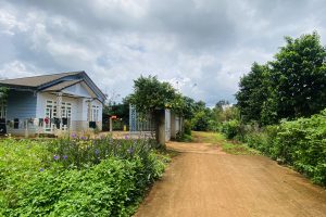 🔥🌳 HÀNG HIẾM EA TU – MẶT TIỀN KA8, PHƯỜNG TÂN AN, ĐẮK LẮK 🌳🔥